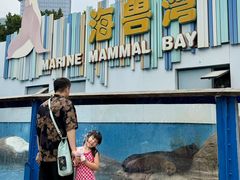-海合安成都极地海洋公园