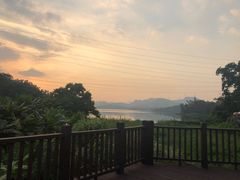 -梧桐山风景名胜区