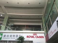 -爱侣宠医·鹦鹉专科·小型哺乳类·异宠专科(灵石路店)