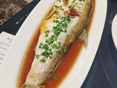 清蒸太湖野生大白鱼-梅飞酒家(桑园路店)