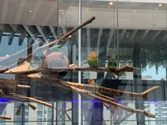 -KKV(深圳宏发大仟里店)