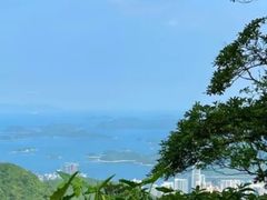 -梧桐山风景名胜区