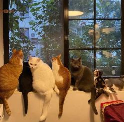 -OM瑜伽教练培训学院