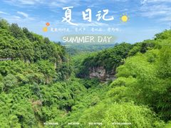 -川西竹海景区