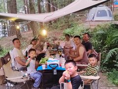 -重庆睡佛山森林公园