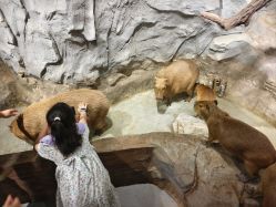 -Zoolung Zoolung动物主题公园(海信广场店)