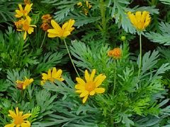 -昆山招商花园城