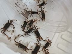 -南汇新城海滩