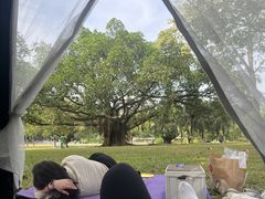-东莞植物园