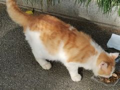 -宝岛公园