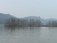 -东湖落雁景区