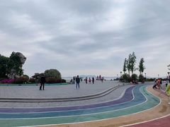 -贡湖湾湿地公园