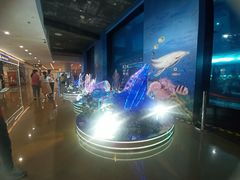 -乐从天佑城海洋馆