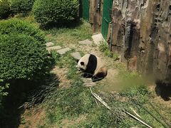 -大连森林动物园