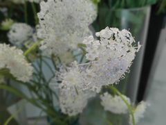 -万科翡翠滨江2期