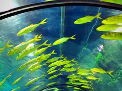 -福州罗源湾海洋世界旅游区