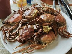 -视界美食自助餐厅·石家庄希尔顿酒店