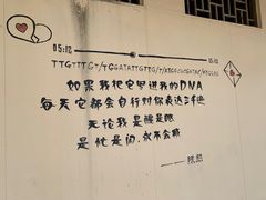 -玫瑰海岸文化旅游度假区