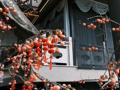 -老李家土菜馆·安吉地标美食