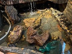 -大匠工房古船木艺术餐厅·猪肚鸡专门店(长白仙岛店)