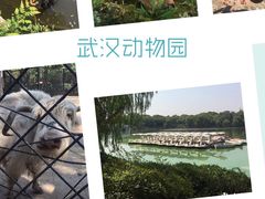 -张之洞与武汉博物馆