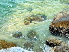-杨梅坑
