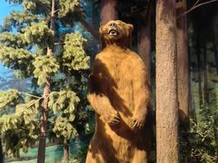 -陕西自然博物馆