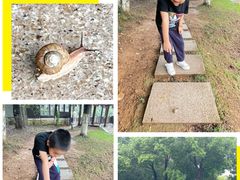 -宝岩生态观光园