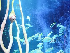 -沈阳海洋探索中心