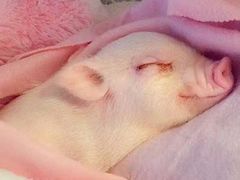 -MIKAKU(万达广场上海宝山店)