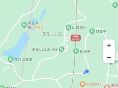 -莲花山公园