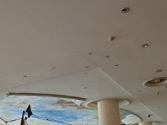 -重庆长寿碧桂园凤悦凤凰酒店