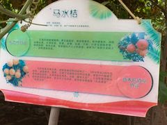 -第五季龙水凤港生态露营农场