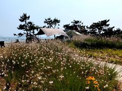 -青岛金沙滩