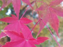 -荆川公园
