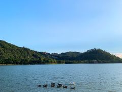 -顺峰山公园
