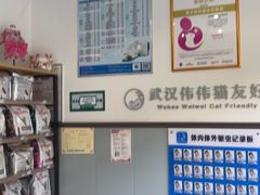 -伟伟宠物医院·瑞派猫友好医院·猫科(光谷店)