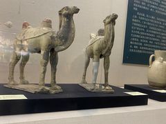 -安阳博物馆