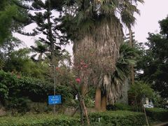 -铁路文化公园