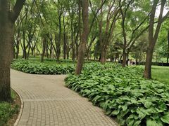 -玲珑塔公园