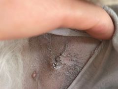 -圣宠动物医院·犬猫专科·影像中心·外科中心