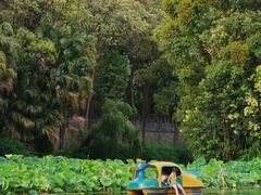 -桂湖森林公园