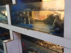 -翠云水煮鱼(双龙大道店)