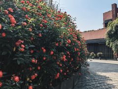 -永隆圣马可国际家居广场(江东中路店)