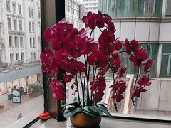 -新雅粤菜馆(南京东路店)