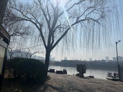 -洛阳市隋唐城遗址植物园
