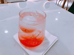 -飞行喵MR PILOT|猫舍·猫咖(静安大融城店)