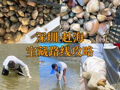 -东山珍珠岛
