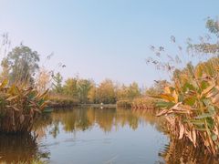 -白鹭湾湿地公园