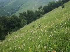 -灵山